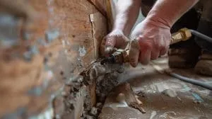 Fixing a Leaking PEX Fitting: Expert Tips for Homeowners | PlumbAdvisor